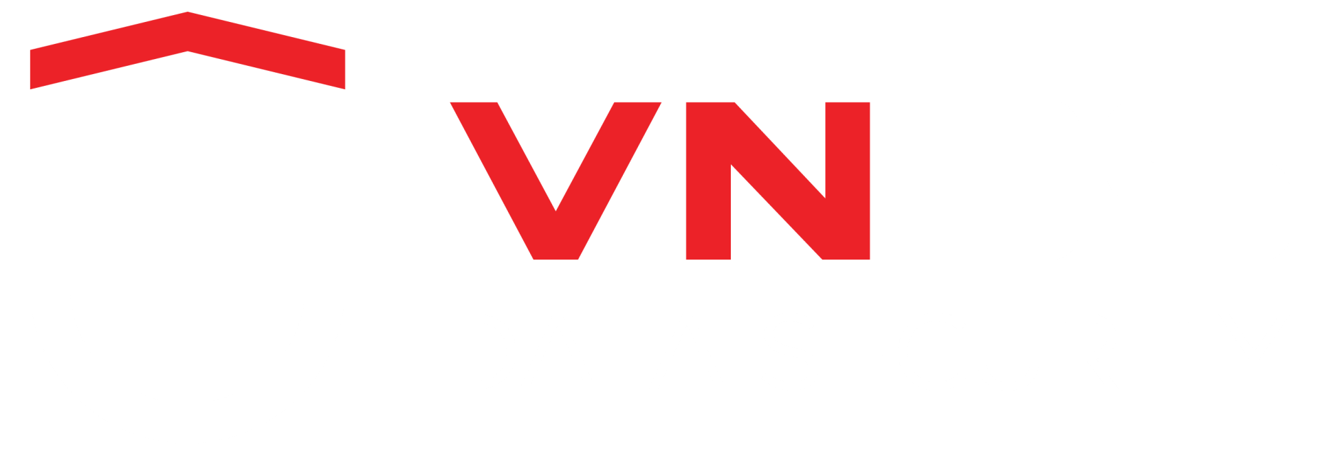 Công ty cổ phần An ninh dữ liệu Việt Nam - Viet Nam Data Security JSC